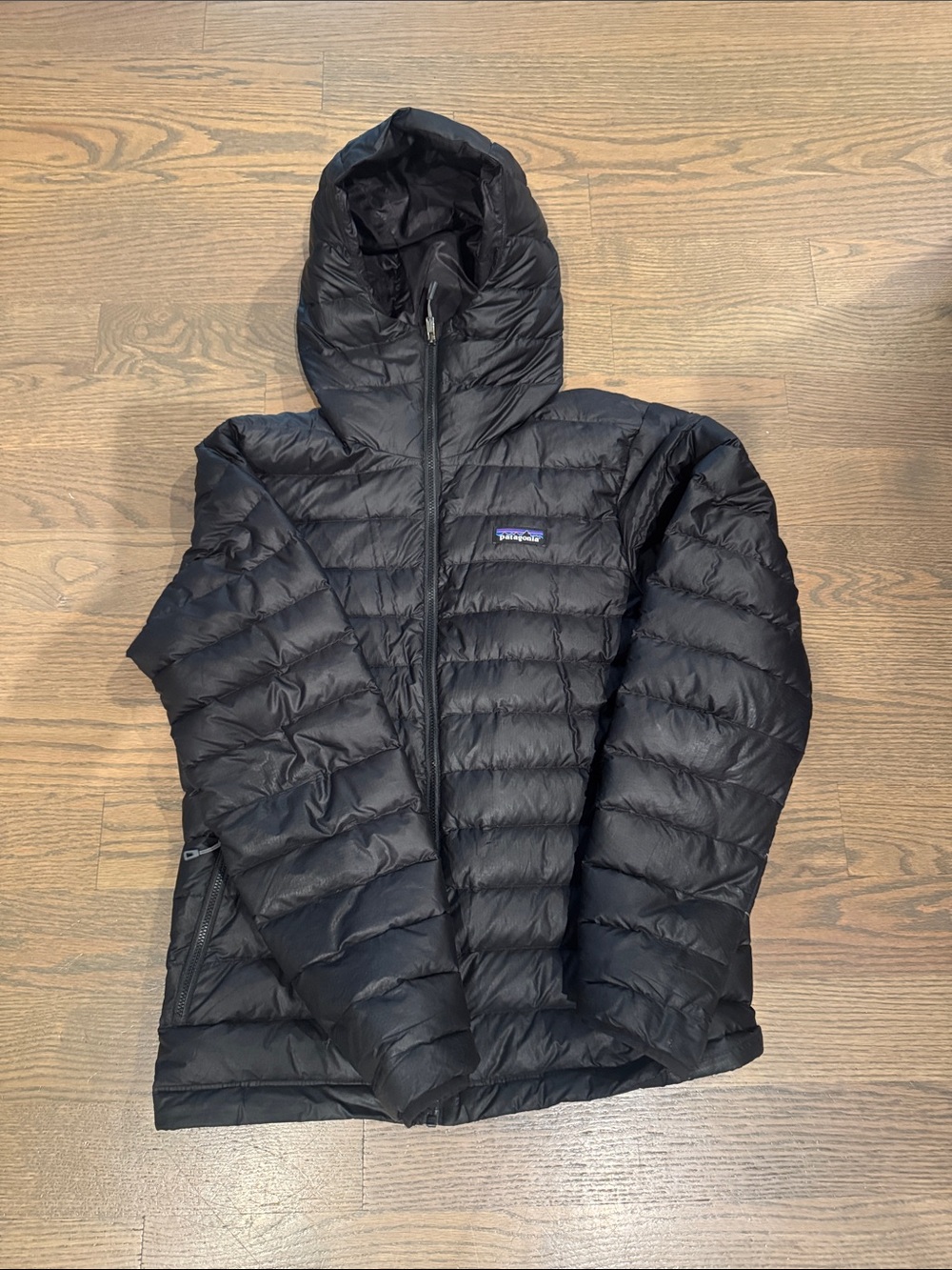 Patagonia Black Hooded Down Puffer Jacket